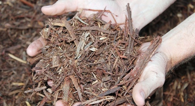 Mulch Canberra Gold Leaf Tree Services